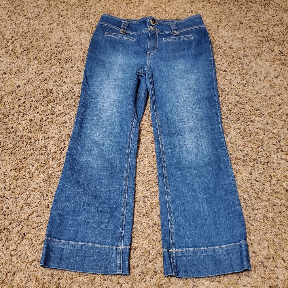 Anthropologie Pilcro Trouser Jeans